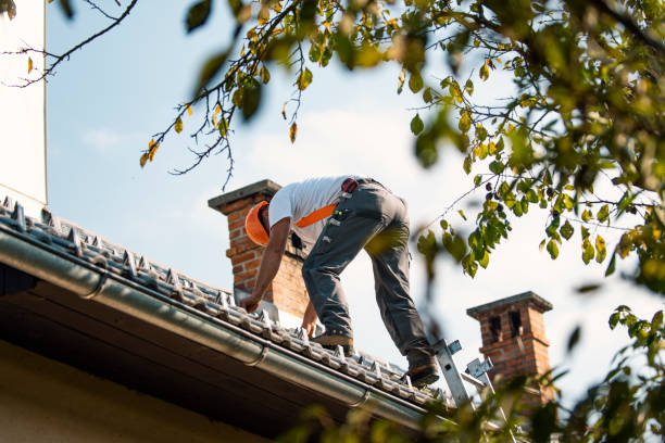 Best Storm Damage Roof Repair  in Laurel, MD