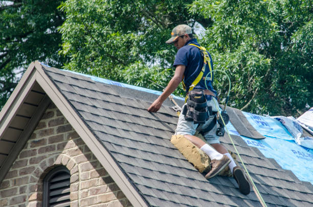 Roof Gutter Cleaning in Laurel, MD
